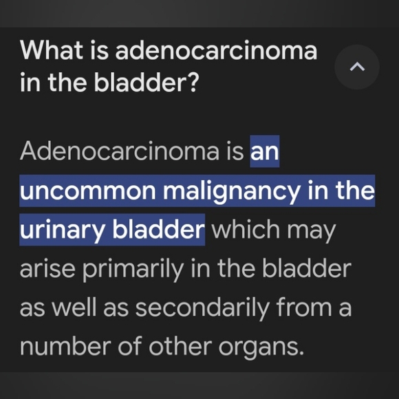 Bladder Cancer Awareness - Picture 2 of 9